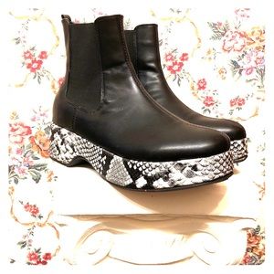 High top leather, snakeskin, platform